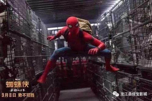 蜘蛛侠英雄归来在线观看完整版,英雄归来在线观影全纪录